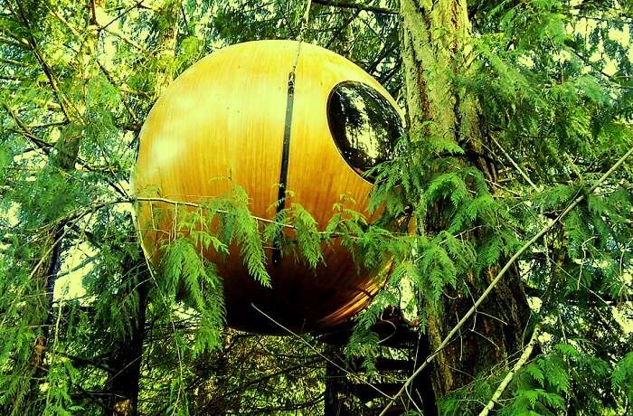 Free Spirit Spheres 