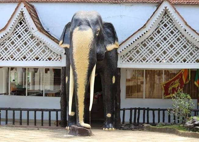 Brilliant elephant model at Pinnavala