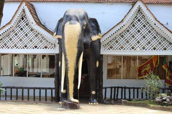 Brilliant elephant model at Pinnavala