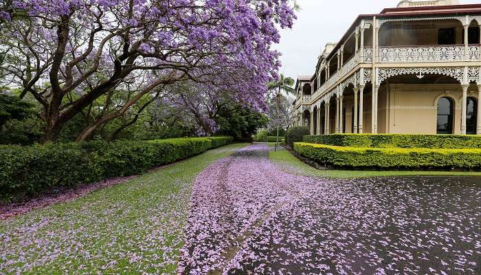 Woodlands of Marburg is a royal mansion, 130 years old, designed by Brockwell Gill