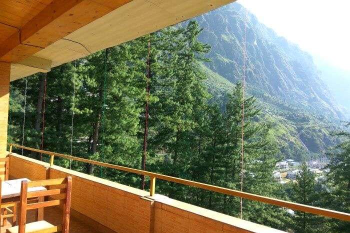 the spectacular view of pine trees from our hotel in kasol