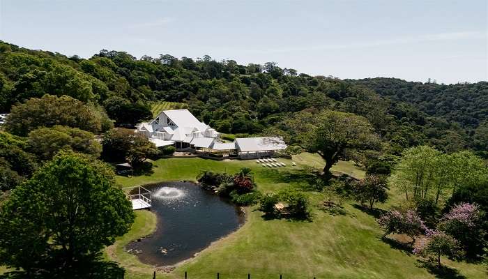 Make your wedding truly royal at Maleny Manor, one of the most vibrant wedding venues