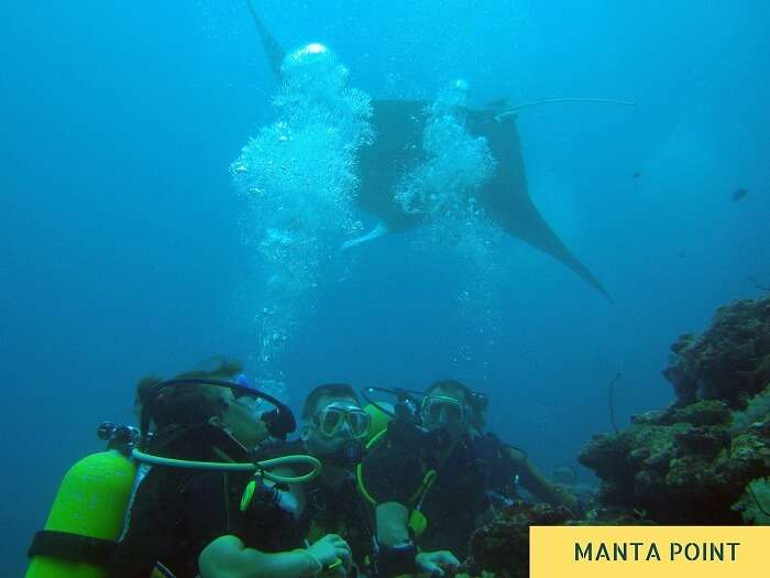 Divers with a stingray at Manta Island in Maldives