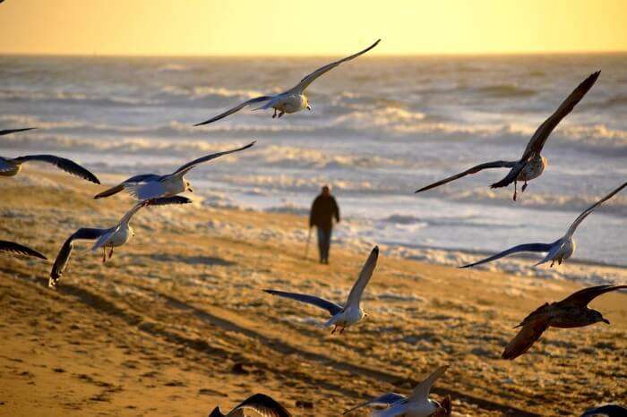 Beach Walk