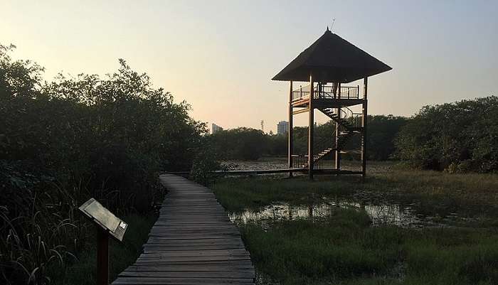 Beddagana Wetland Park, colombo beautiful places 