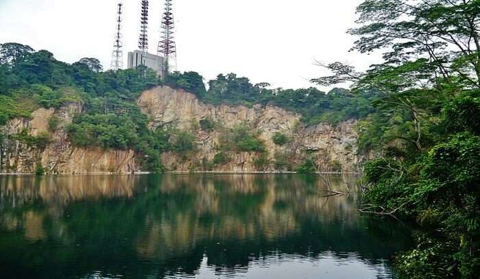 Bukit Timah Nature Reserve