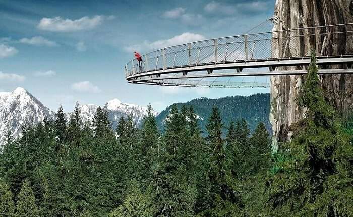 A guy enjoying the view from Capilano Suspension Bridge in Vancouver