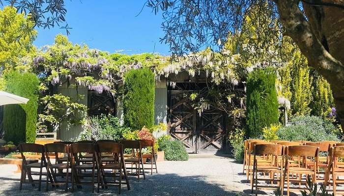 Cossars Wine Shed, wedding venues in christchurch