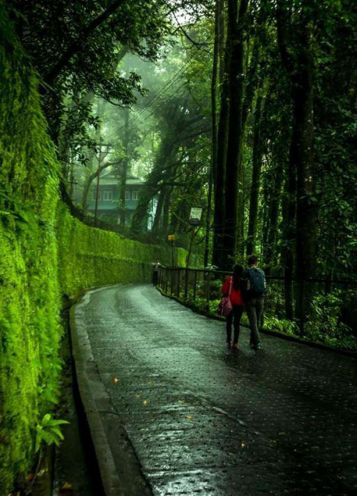 Couple-walking-down-the-road-in-Kerala-TravelTriangle