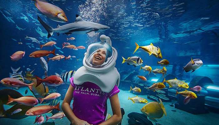 Ambassador Lagoon Aqua Trek Woman With Fish in the Aquarium