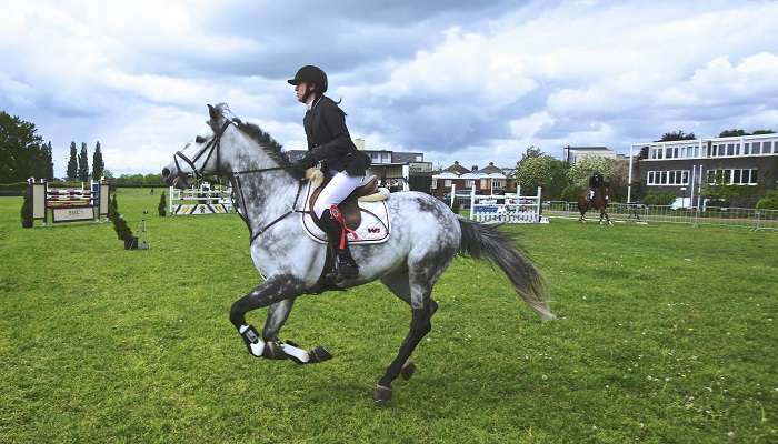 Garden Route Horse Trails