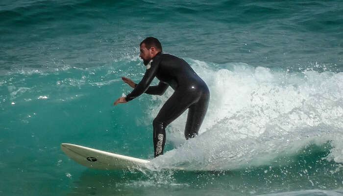 Go Surfing