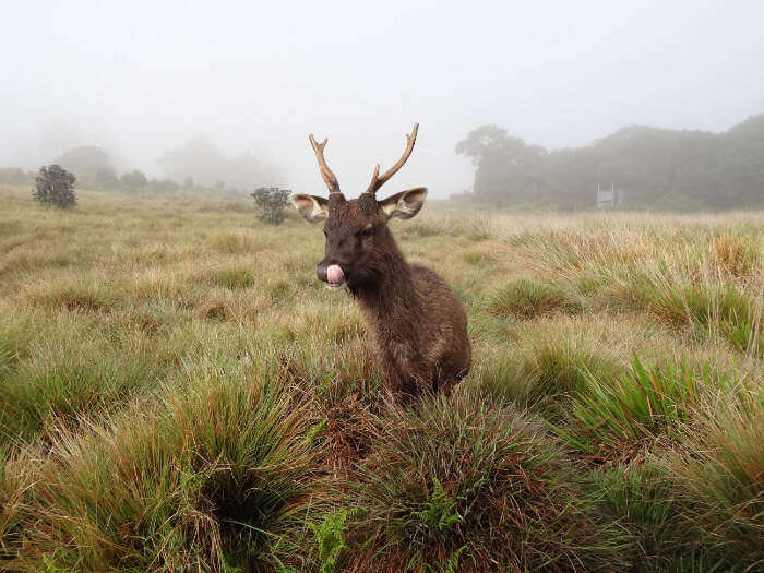 Horton-Plains-National-Park_18th oct