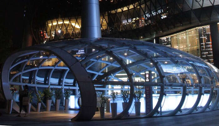 ION Orchard