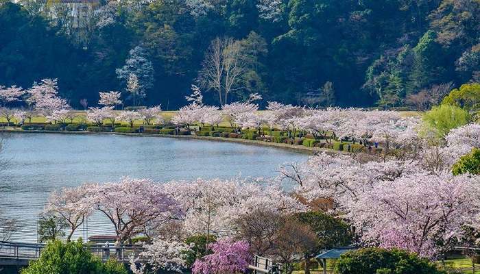 The magnificent view of Ibaraki