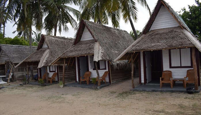 Kalpitiya Diving Center