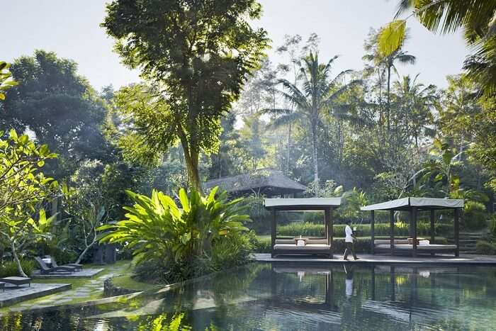 Kayumanis Ubud Private Villas & Spa amidst lush greenery