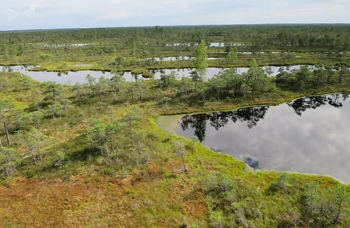 Kemeri National Park