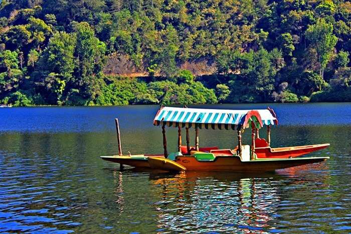 A lone shikara rowing in the Kundala Lake at Munnar