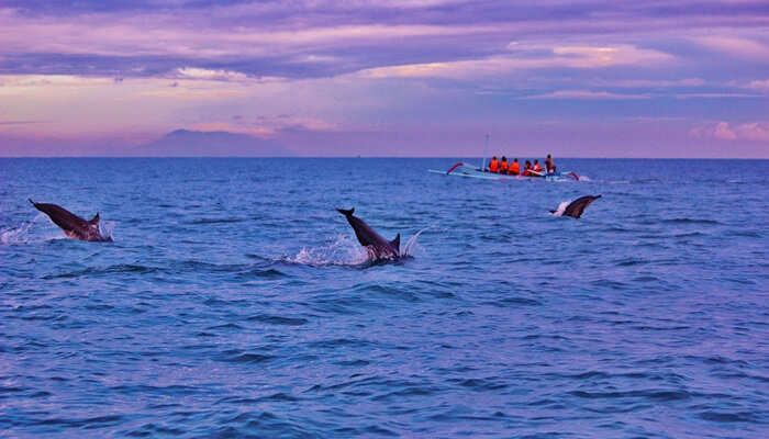 Lovina Beach- Bali Tourist Attractions