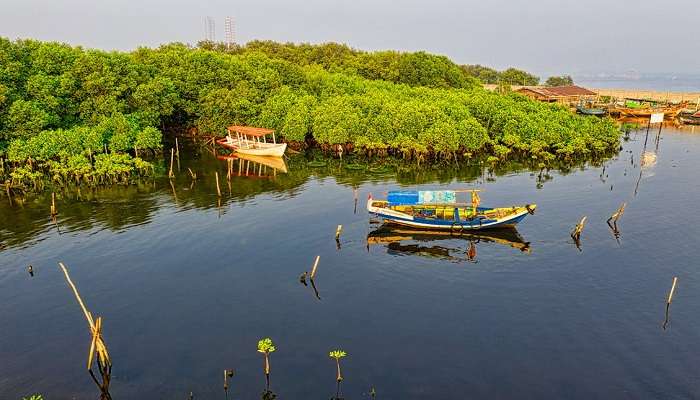 Madu River – Take A Boat Ride