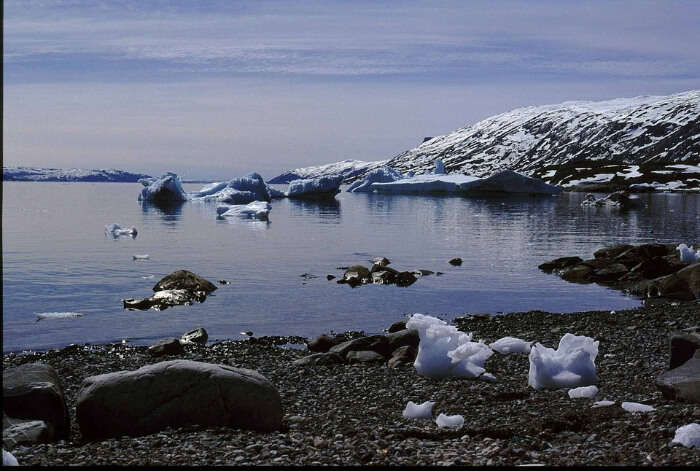 Mother of the Sea In Greenland