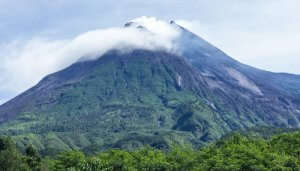 Mountain covered with greenery