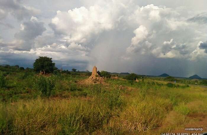 Nampula In Mozambique