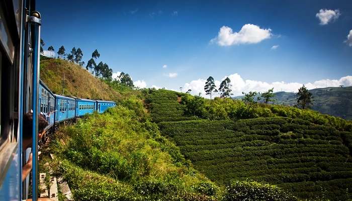 Nuwara Eliya