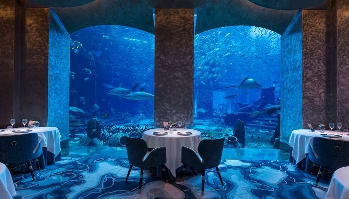 Ossiano Aquarium Table