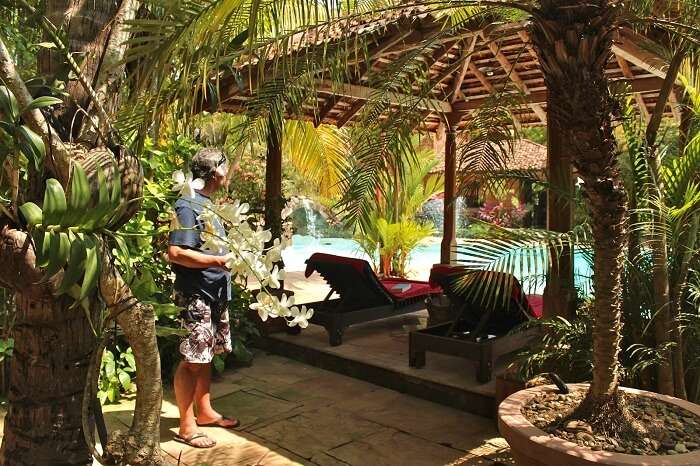 The pool side seating at Pousada Tauma beach resort in Goa