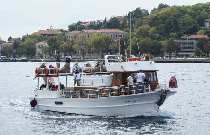 Bosphorus-Cruise