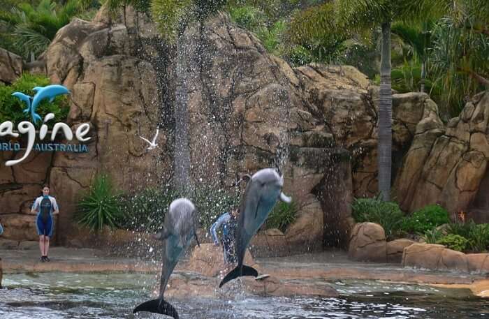 Sea World, Gold Coast