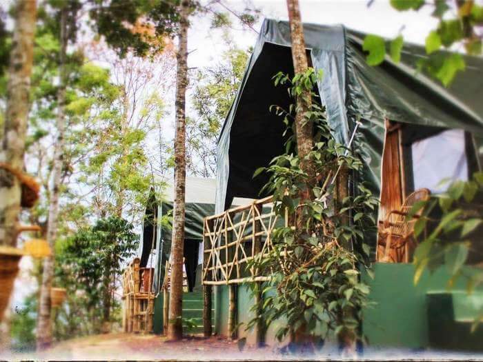 The camp stays at Season 7 are gaining popularity in Munnar
