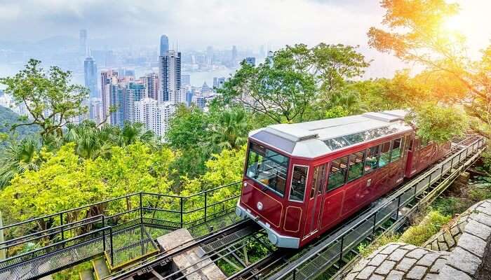 Sightseeing On The Peak Tram you must try in 4 days in Hong Kong 