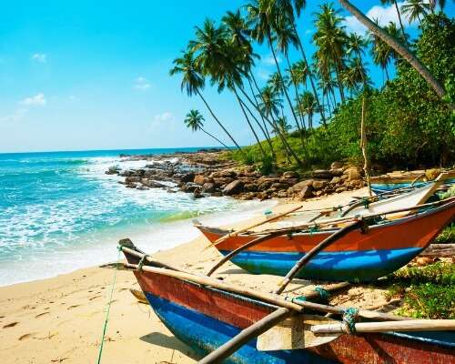Sri Lanka: favourite destinations of Indian travelers