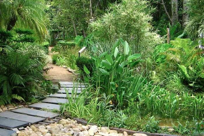 Stellenbosch Botanical Gardens