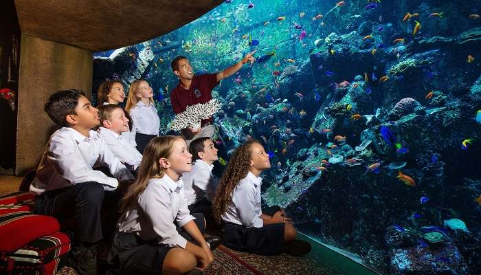 The Lost Chambers Aquarium Youth Programmes Junior Marine Biologist