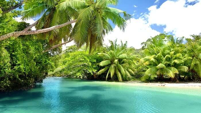 There are quite some interesting facts about Seychelles which you need to know before your Seychellois honeymoon