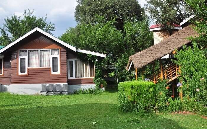Treehouse Cottages in Manali