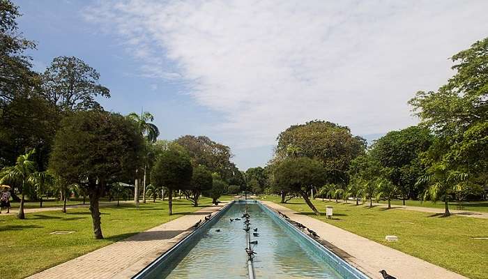 Viharamahadevi Park, places to visit in Colombo 