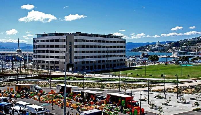 While the world is busy making a fuss about summertime blues, Wellington knows how to beat the blues