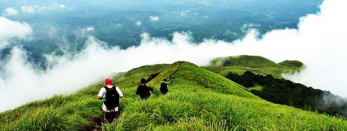 People trekking at Wayanad – one of the best places to visit in Kerala