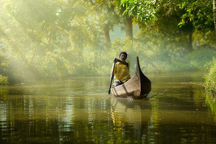 A many rowing a canoe on the backwaters of Alleppey