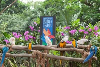 Best Places To Visit In Jurong East