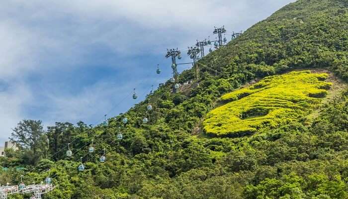 lantau island is a must add places in your itinerary 4 days in Hong Kong 