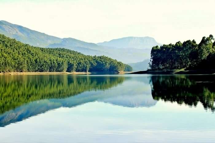 munnar eco park