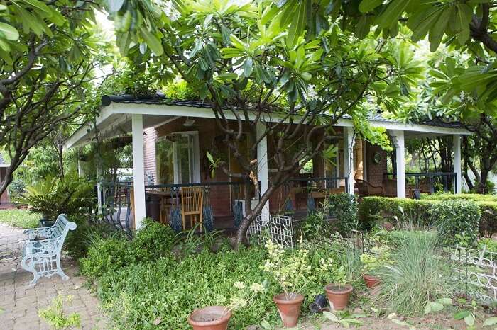 The lawn and the outdoor seating at the Peepal Kothi in Mewat