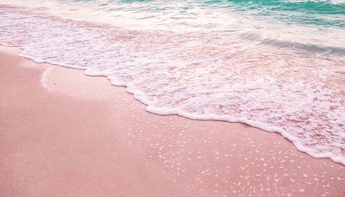 Pink sand beach