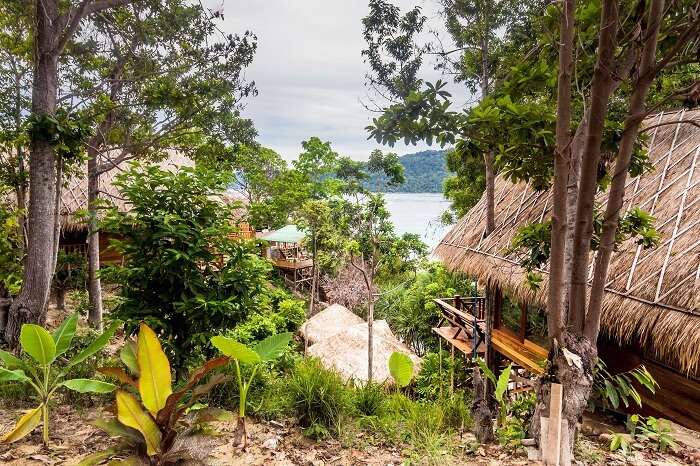 Beautiful Island of Koh Lipe with Wooden House